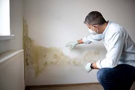 Best Emergency Mold Remediation  in Winona, MS